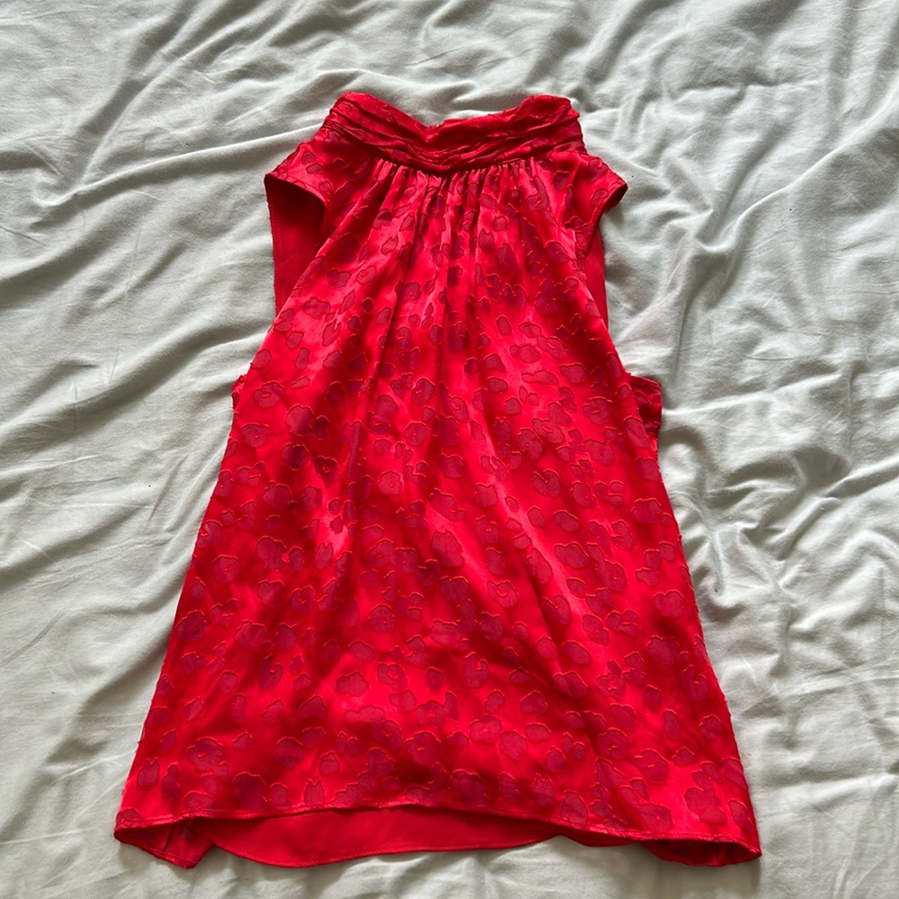 Red Silky Top